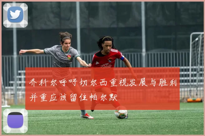 乔科尔呼吁切尔西重视发展与胜利并重应该留住帕尔默